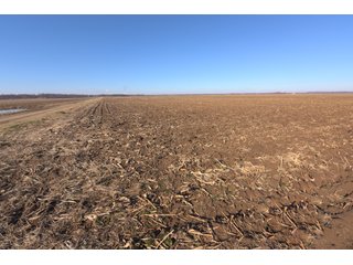 Property photo 25 - LAND AUCTION - 300+/- ACRES IN 2 TRACTS IN SULLIVAN COUNTY, INDIANA